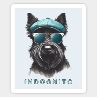 Scottish Terrier Indognito Sticker